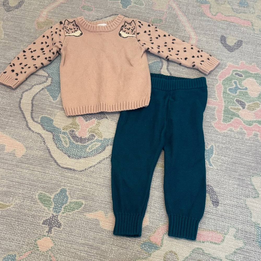 Cute Pink Cat Sweater and Teal Pants Set (18-24m)